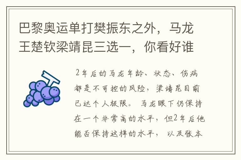 巴黎奥运单打樊振东之外,马龙王楚钦梁靖昆三选一,你看好谁?