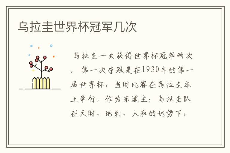乌拉圭世界杯冠军几次
