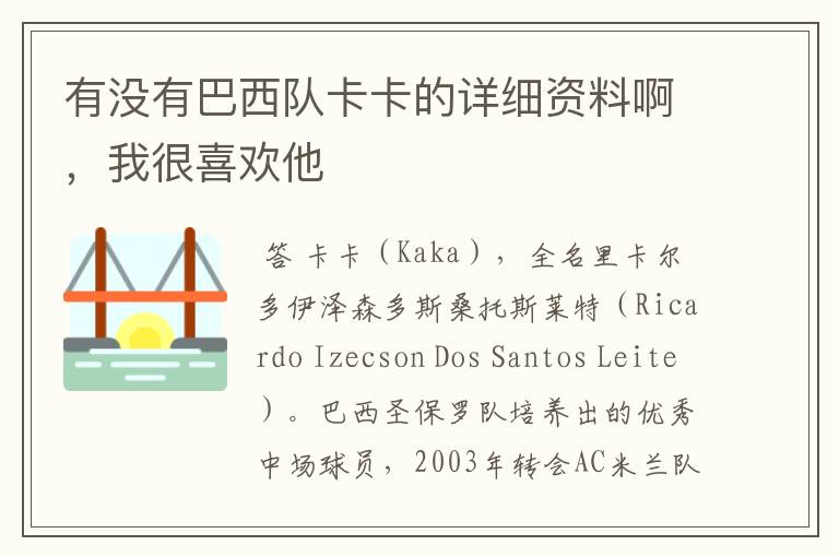 有没有巴西队卡卡的详细资料啊,我很喜欢他