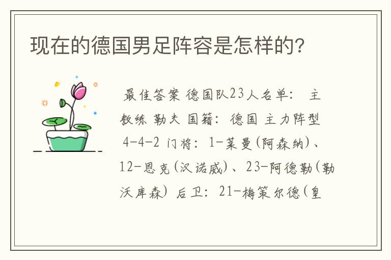 现在的德国男足阵容是怎样的?