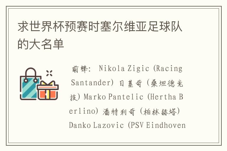 求世界杯预赛时塞尔维亚足球队的大名单