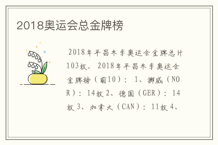 2018奥运会总金牌榜