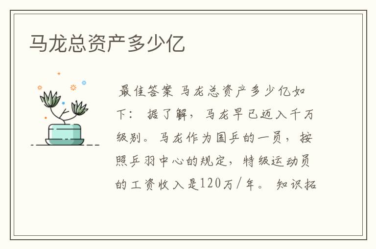 马龙总资产多少亿
