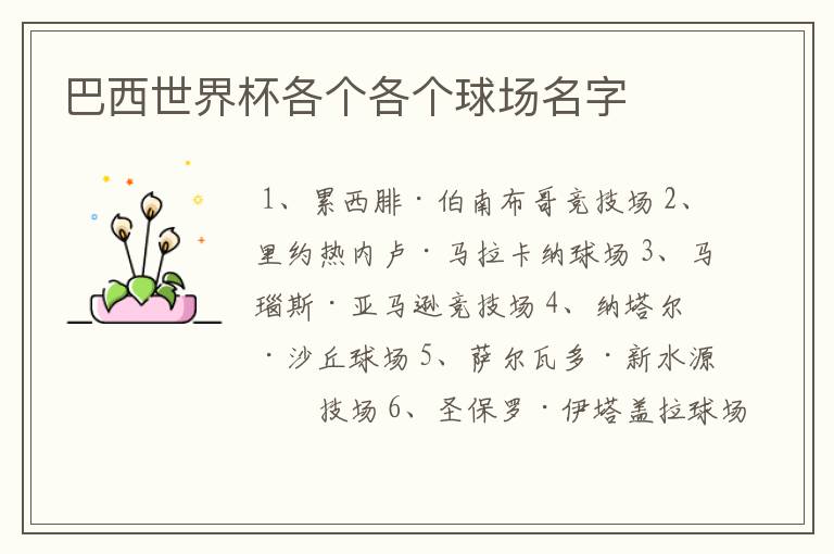 巴西世界杯各个各个球场名字