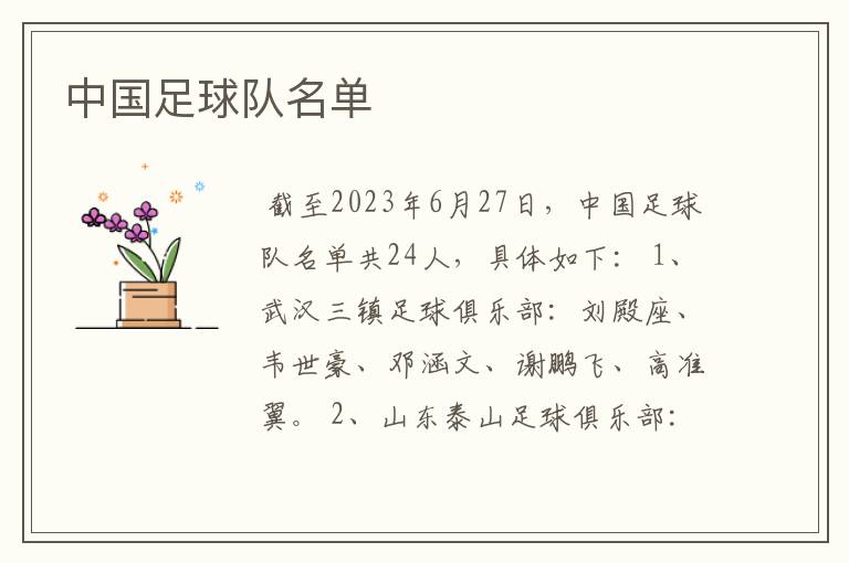 中国足球队名单