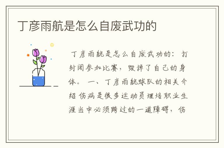 丁彦雨航是怎么自废武功的