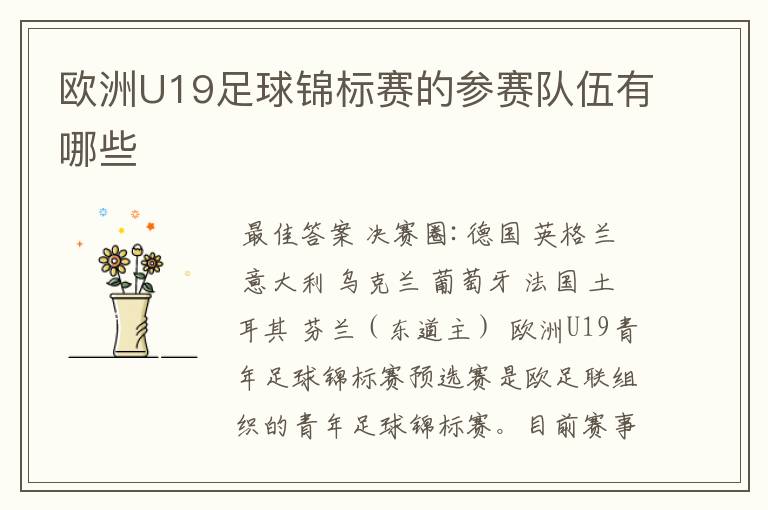 欧洲U19足球锦标赛的参赛队伍有哪些