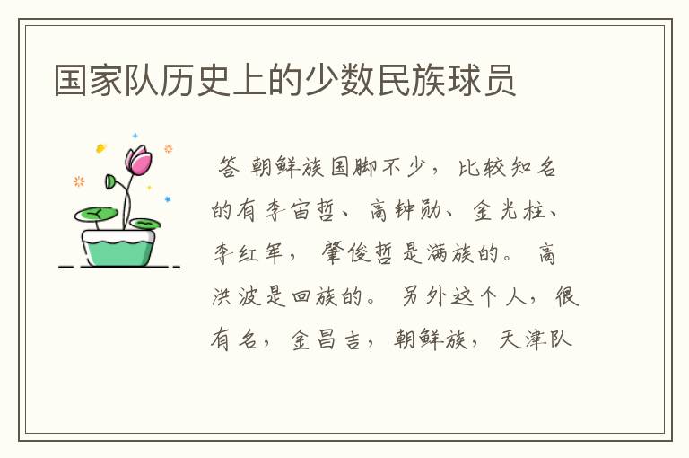 国家队历史上的少数民族球员
