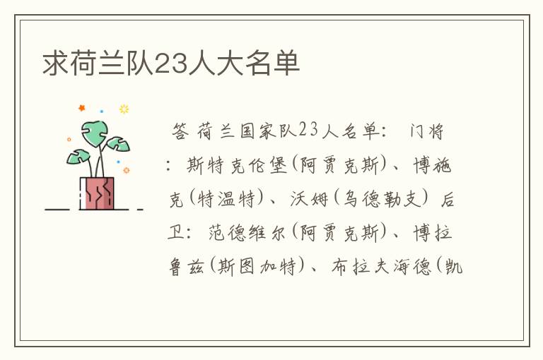 求荷兰队23人大名单