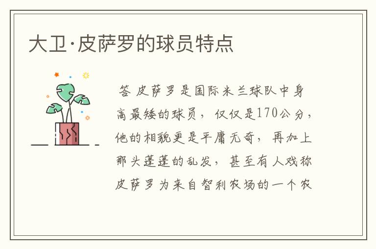 大卫·皮萨罗的球员特点