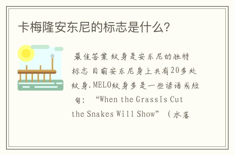 卡梅隆安东尼的标志是什么?