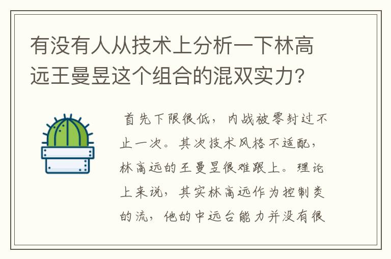 有没有人从技术上分析一下林高远王曼昱这个组合的混双实力?