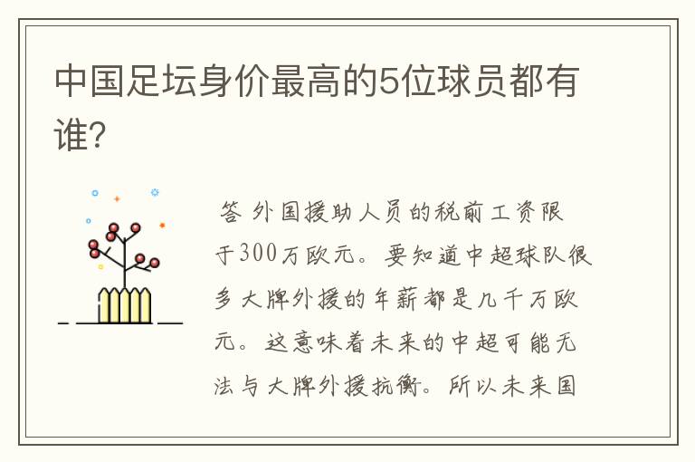 中国足坛身价最高的5位球员都有谁？