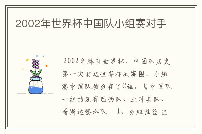 2002年世界杯中国队小组赛对手