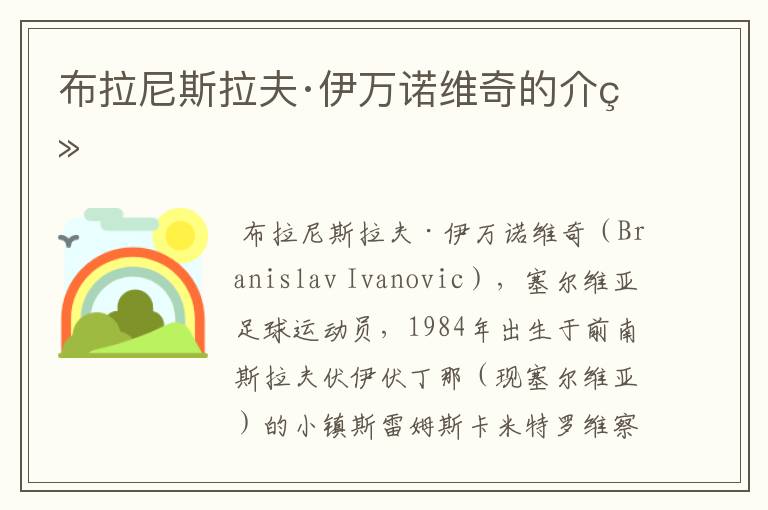 布拉尼斯拉夫·伊万诺维奇的介绍