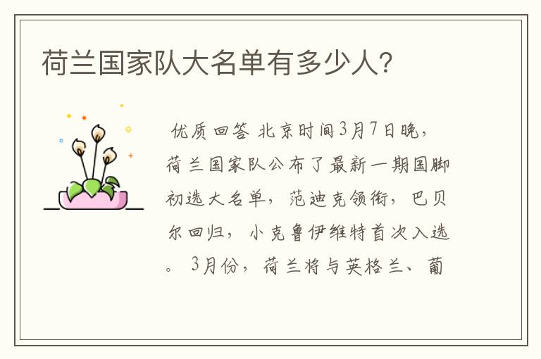 荷兰国家队大名单有多少人?