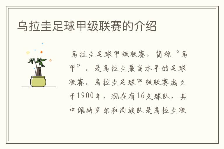 乌拉圭足球甲级联赛的介绍
