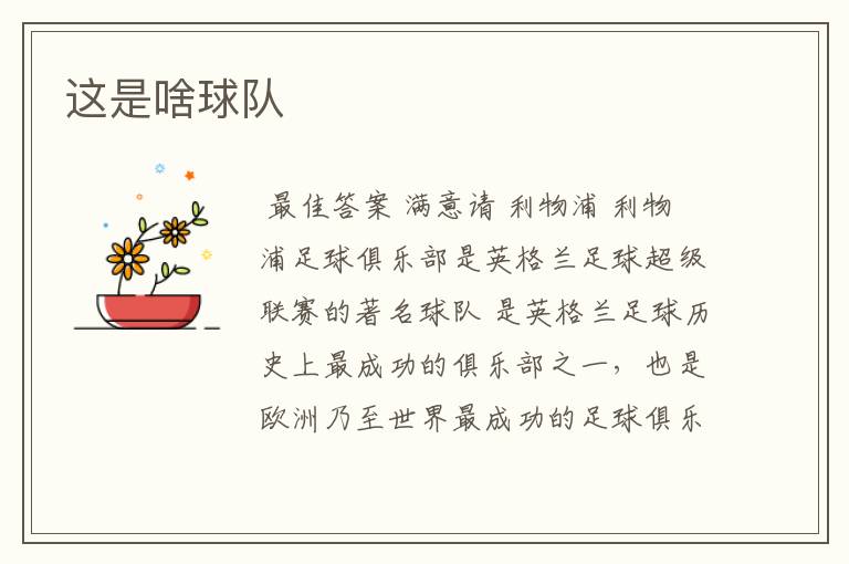 这是啥球队