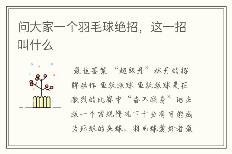 问大家一个羽毛球绝招,这一招叫什么