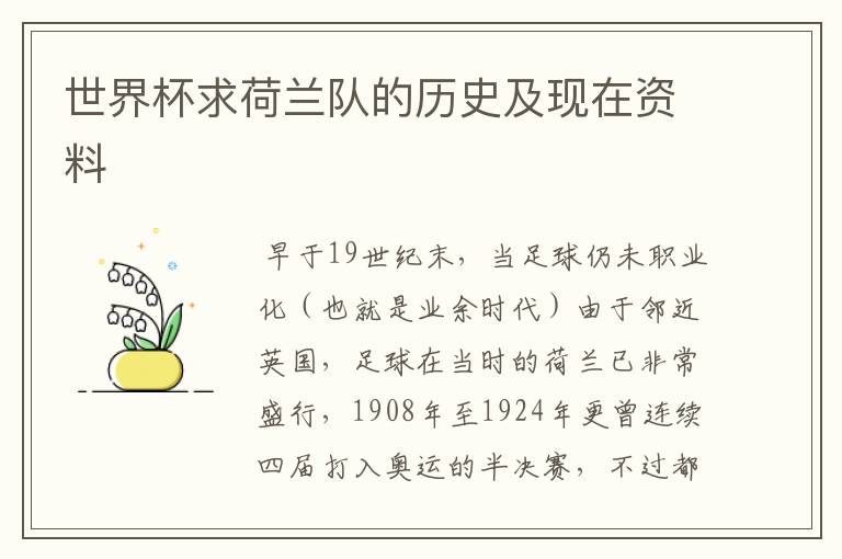 世界杯求荷兰队的历史及现在资料