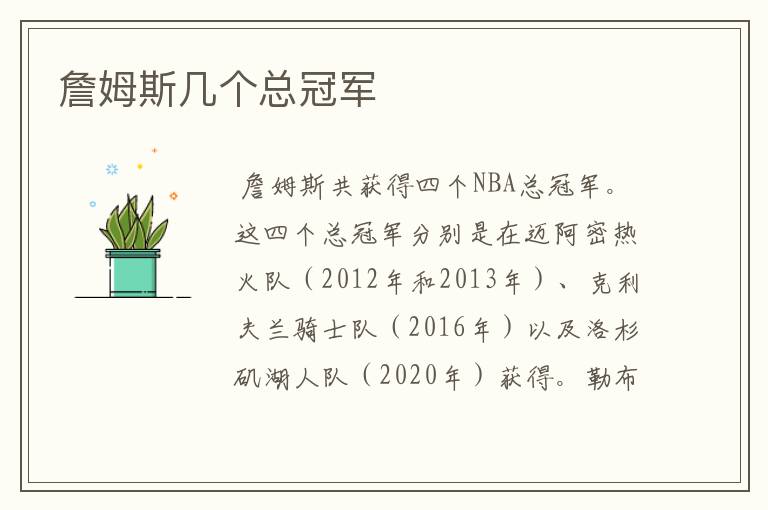 詹姆斯几个总冠军