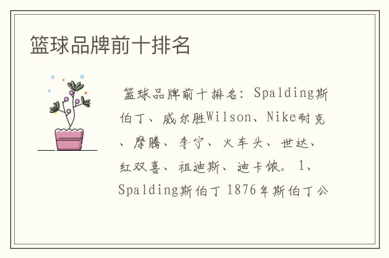 篮球品牌前十排名