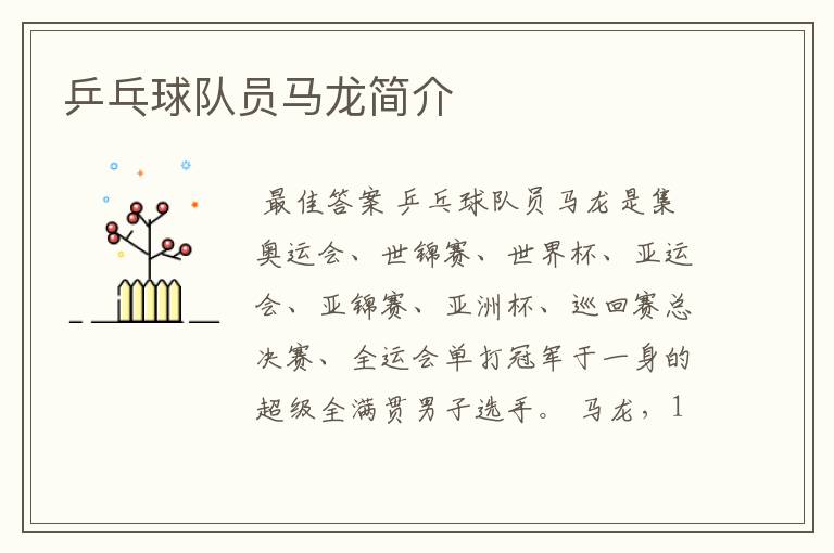 乒乓球队员马龙简介