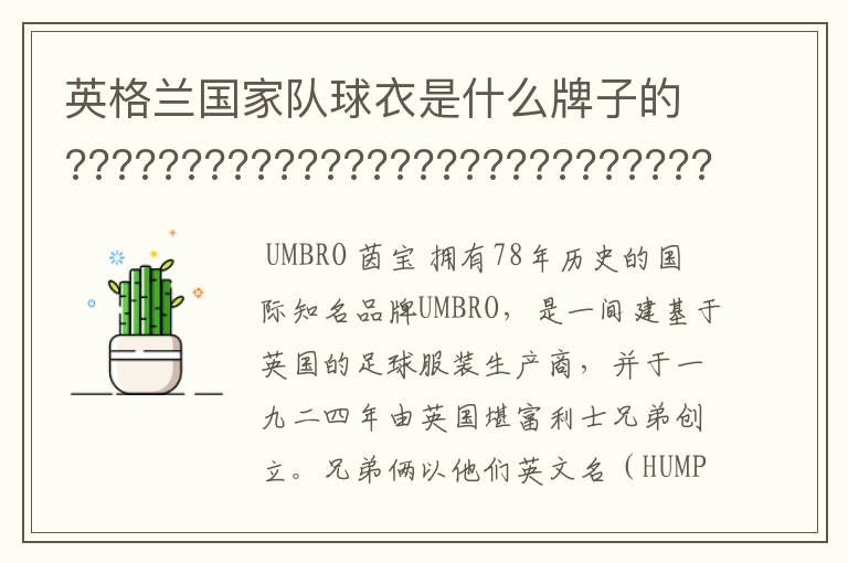 英格兰国家队球衣是什么牌子的???????????????????????????????????????????????????