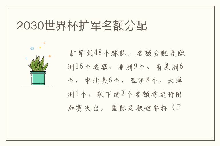 2030世界杯扩军名额分配