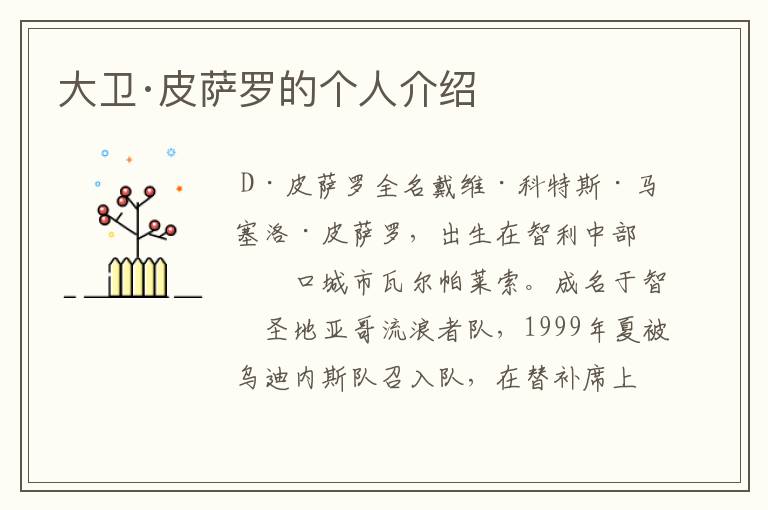 大卫·皮萨罗的个人介绍