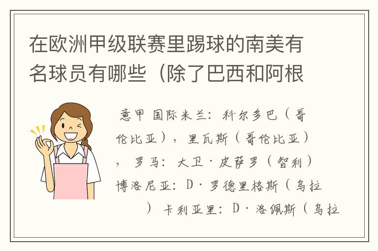 在欧洲甲级联赛里踢球的南美有名球员有哪些(除了巴西和阿根廷)?各效力哪个球队?人又各是哪个国家的?