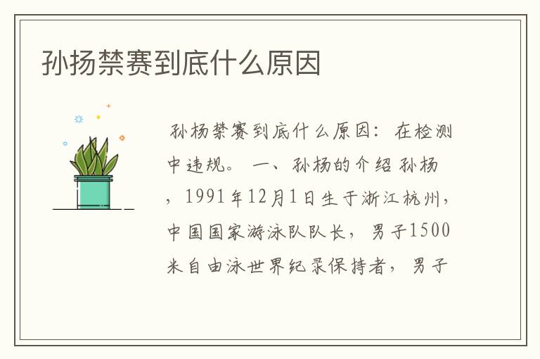 孙扬禁赛到底什么原因