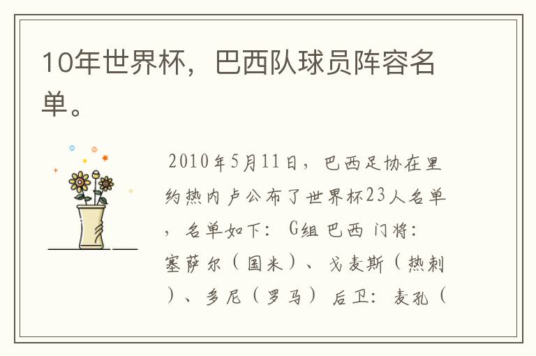 10年世界杯,巴西队球员阵容名单。