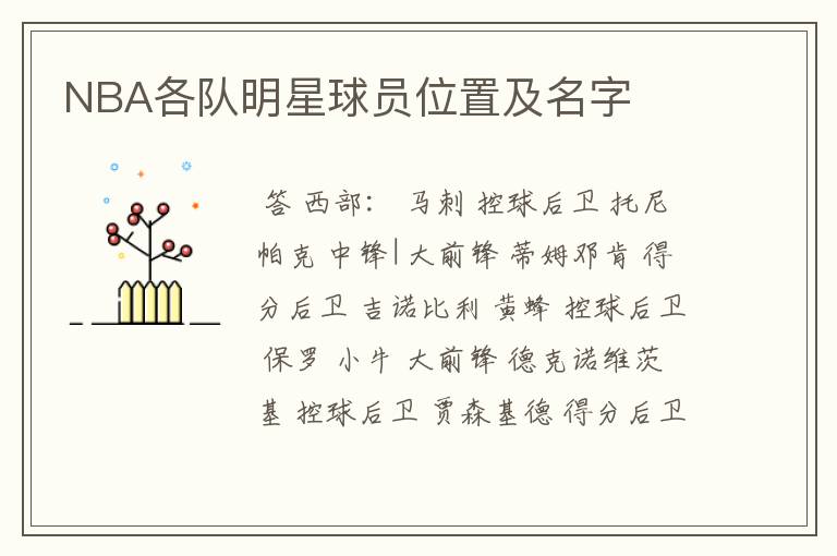 NBA各队明星球员位置及名字