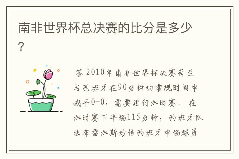南非世界杯总决赛的比分是多少？