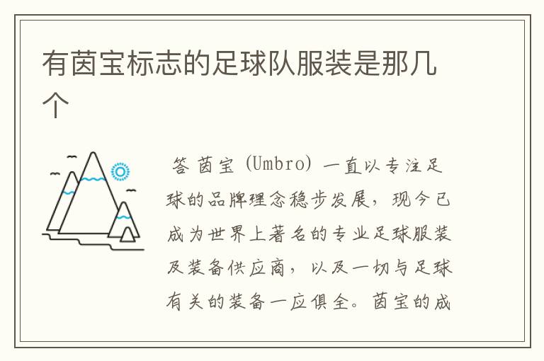有茵宝标志的足球队服装是那几个