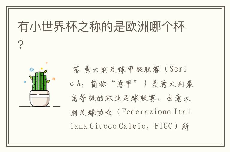 有小世界杯之称的是欧洲哪个杯?
