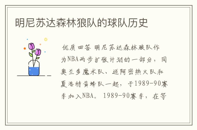 明尼苏达森林狼队的球队历史