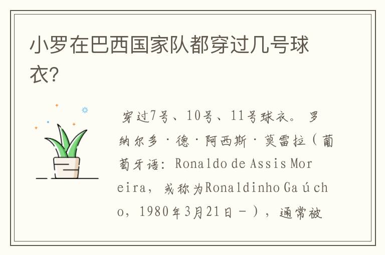 小罗在巴西国家队都穿过几号球衣？