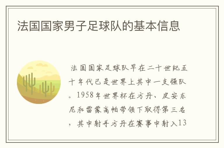 法国国家男子足球队的基本信息