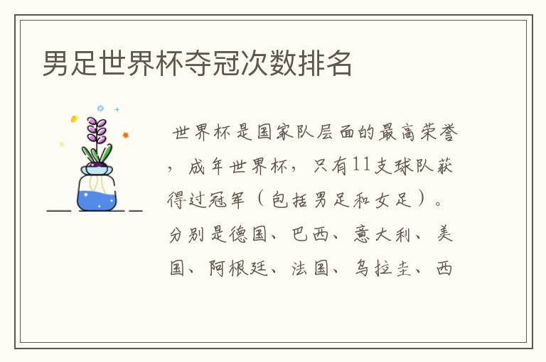 男足世界杯夺冠次数排名