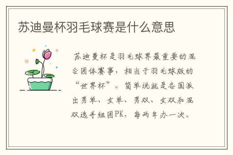 苏迪曼杯羽毛球赛是什么意思