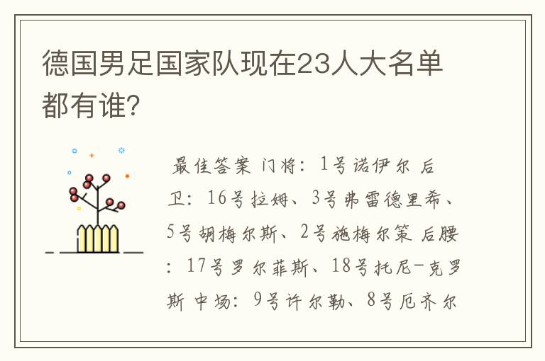 德国男足国家队现在23人大名单都有谁？