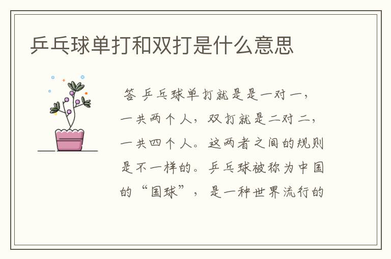 乒乓球单打和双打是什么意思