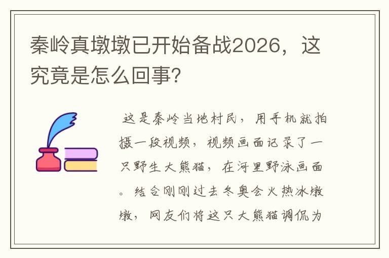 秦岭真墩墩已开始备战2026，这究竟是怎么回事？