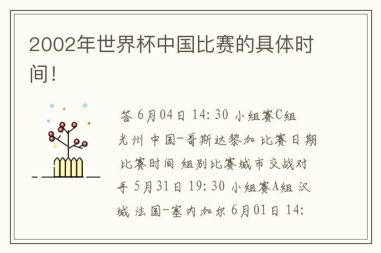 2002年世界杯中国比赛的具体时间！