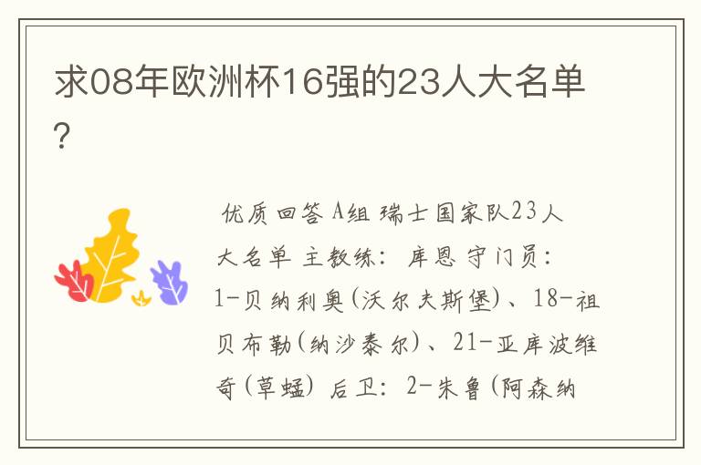 求08年欧洲杯16强的23人大名单?