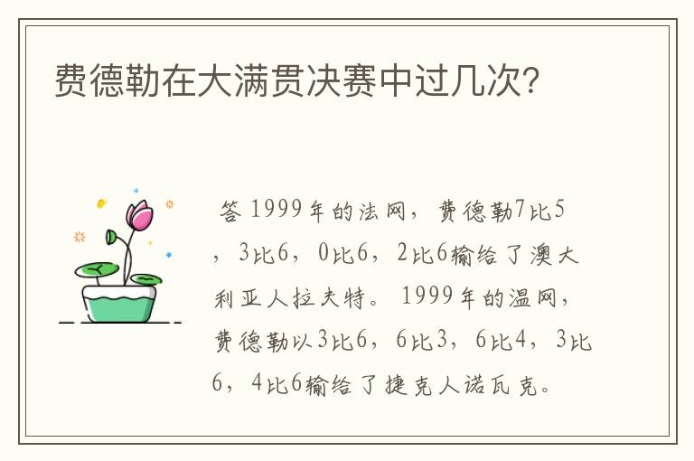 费德勒在大满贯决赛中过几次？
