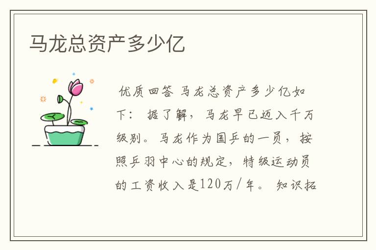 马龙总资产多少亿