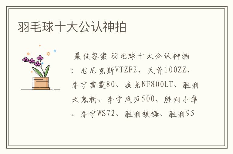 羽毛球十大公认神拍